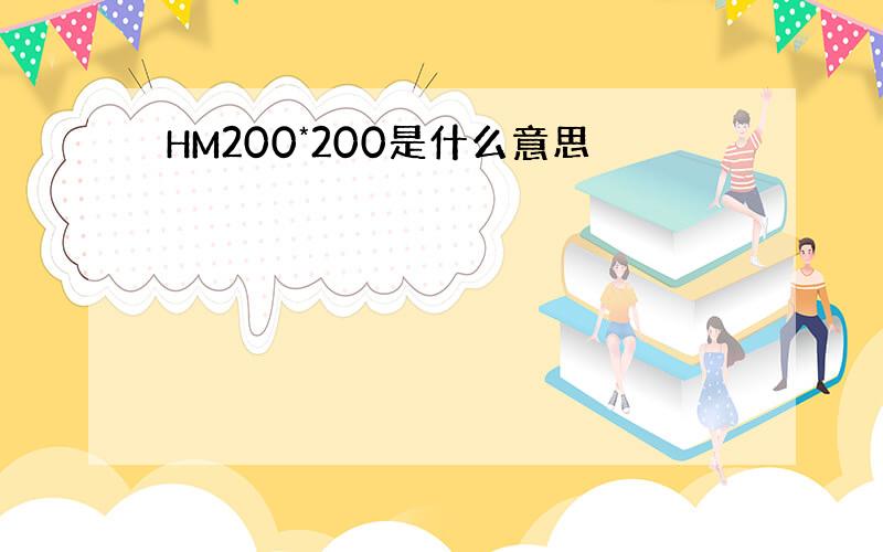 HM200*200是什么意思