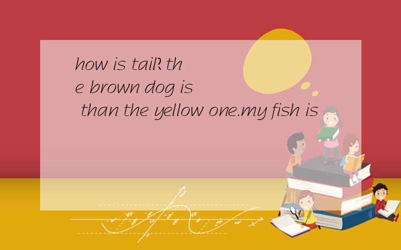 how is tail?the brown dog is than the yellow one.my fish is