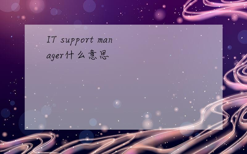 IT support manager什么意思