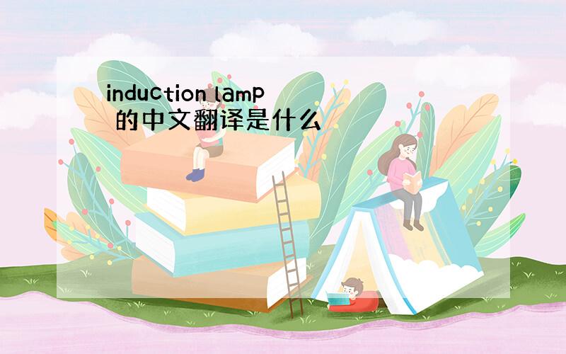 induction lamp 的中文翻译是什么
