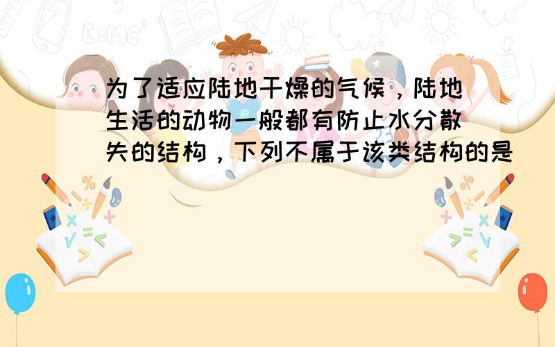 为了适应陆地干燥的气候，陆地生活的动物一般都有防止水分散失的结构，下列不属于该类结构的是（　　）