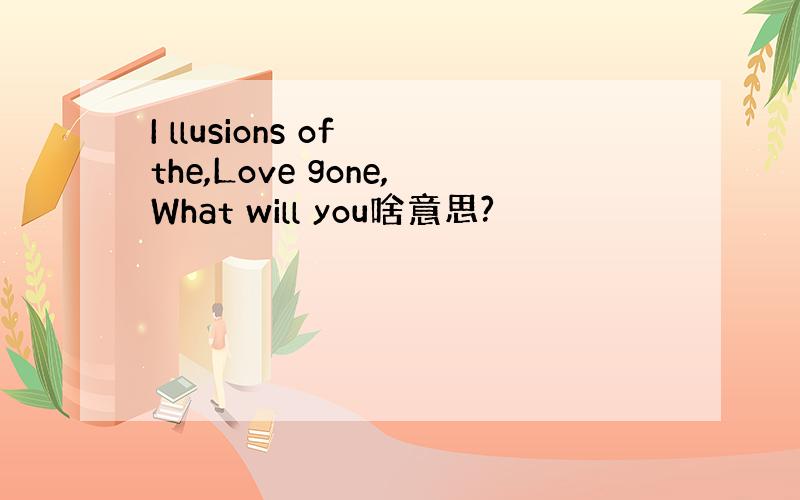 I llusions of the,Love gone,What will you啥意思?