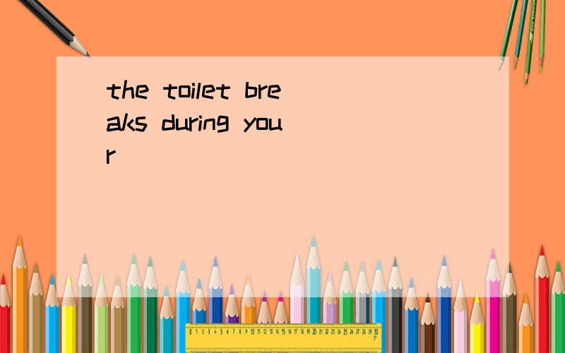 the toilet breaks during your