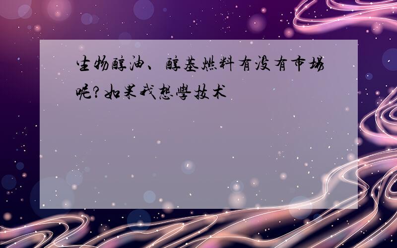 生物醇油、醇基燃料有没有市场呢?如果我想学技术