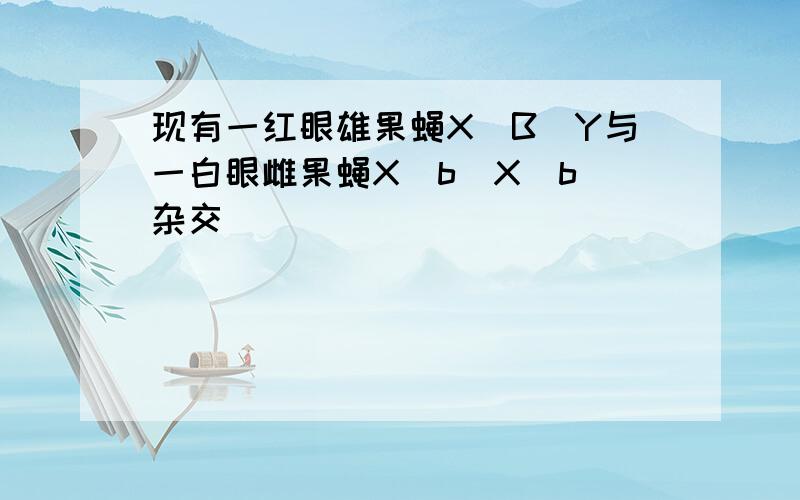 现有一红眼雄果蝇X(B)Y与一白眼雌果蝇X(b)X(b)杂交