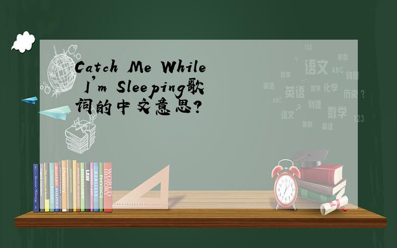 Catch Me While I'm Sleeping歌词的中文意思?