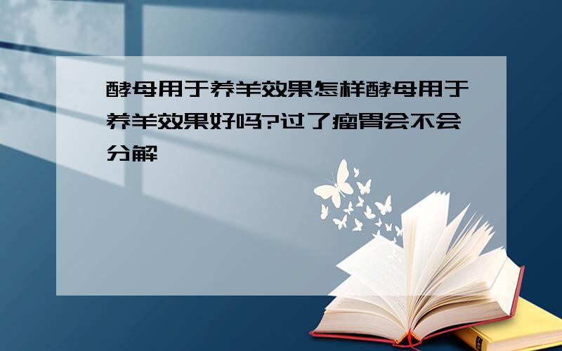 酵母用于养羊效果怎样酵母用于养羊效果好吗?过了瘤胃会不会分解