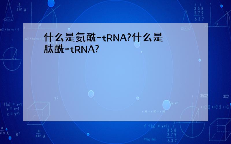 什么是氨酰-tRNA?什么是肽酰-tRNA?