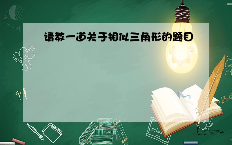 请教一道关于相似三角形的题目