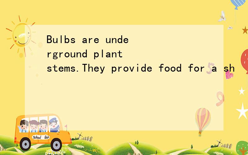 Bulbs are underground plant stems.They provide food for a sh