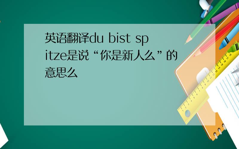 英语翻译du bist spitze是说“你是新人么”的意思么