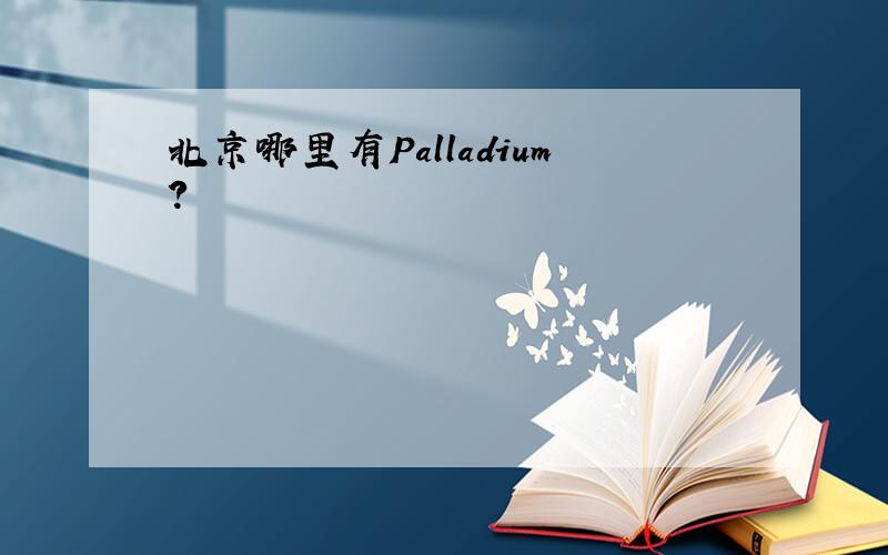 北京哪里有Palladium?