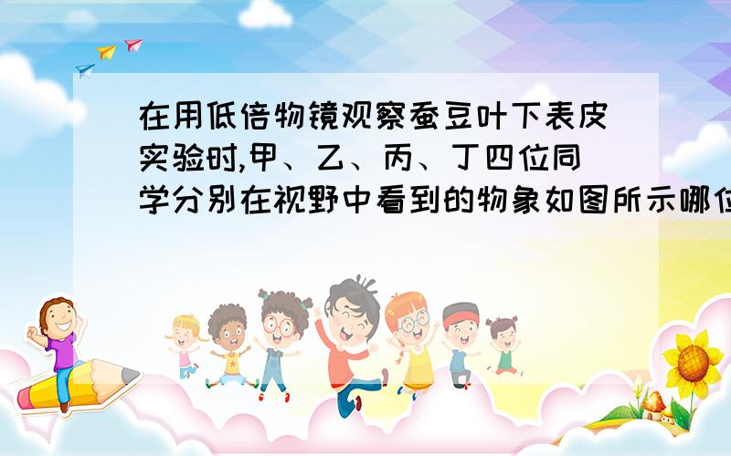 在用低倍物镜观察蚕豆叶下表皮实验时,甲、乙、丙、丁四位同学分别在视野中看到的物象如图所示哪位同学观察效果最好.请指导另外