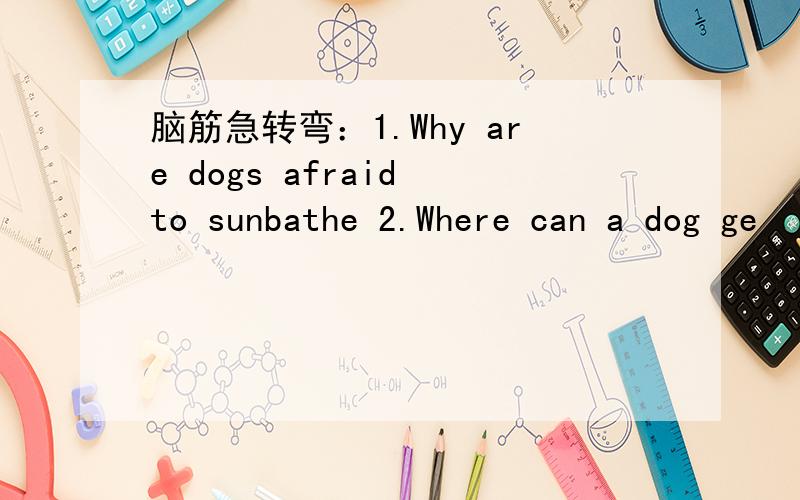 脑筋急转弯：1.Why are dogs afraid to sunbathe 2.Where can a dog ge