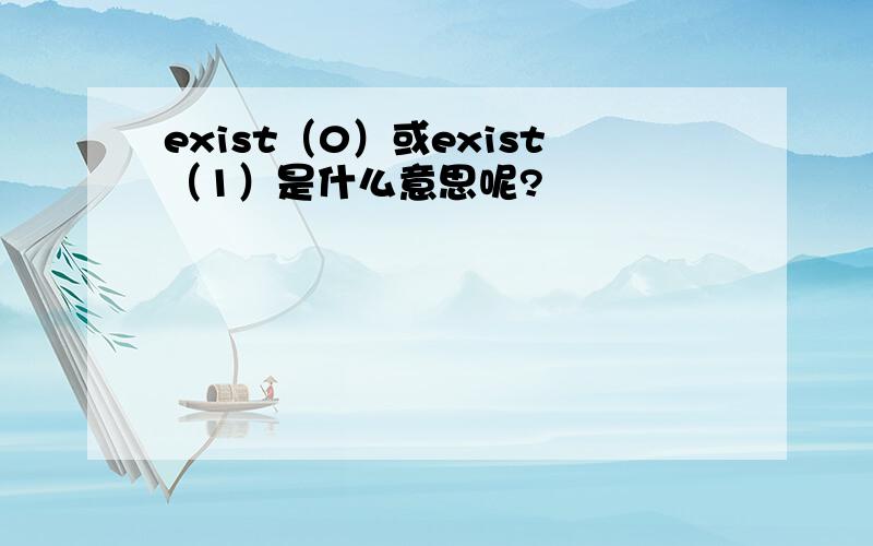 exist（0）或exist（1）是什么意思呢?