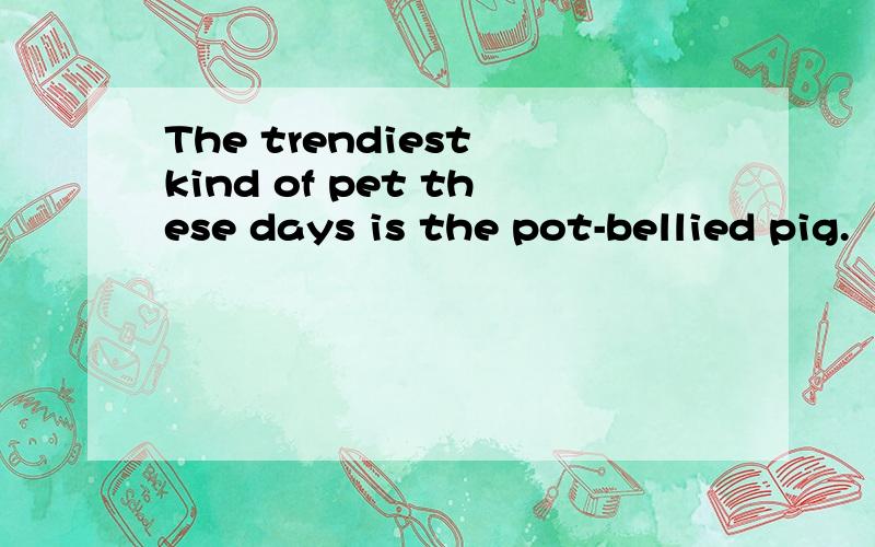 The trendiest kind of pet these days is the pot-bellied pig.