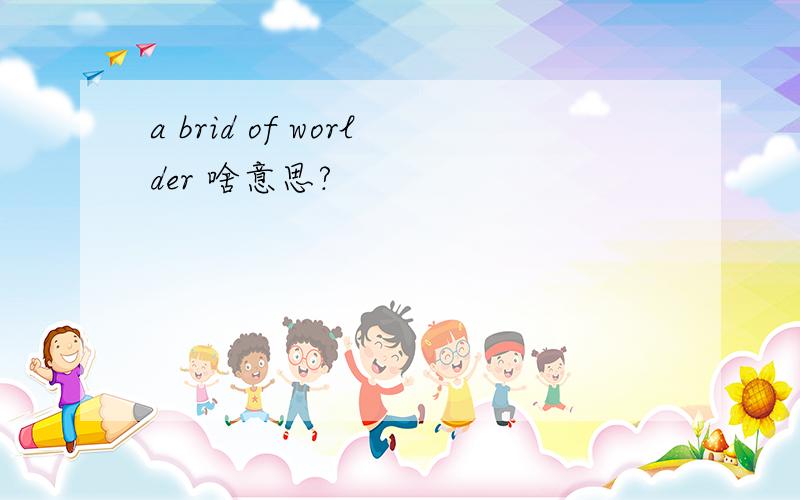 a brid of worlder 啥意思?