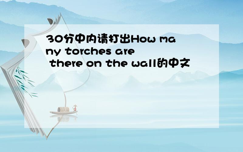 30分中内请打出How many torches are there on the wall的中文
