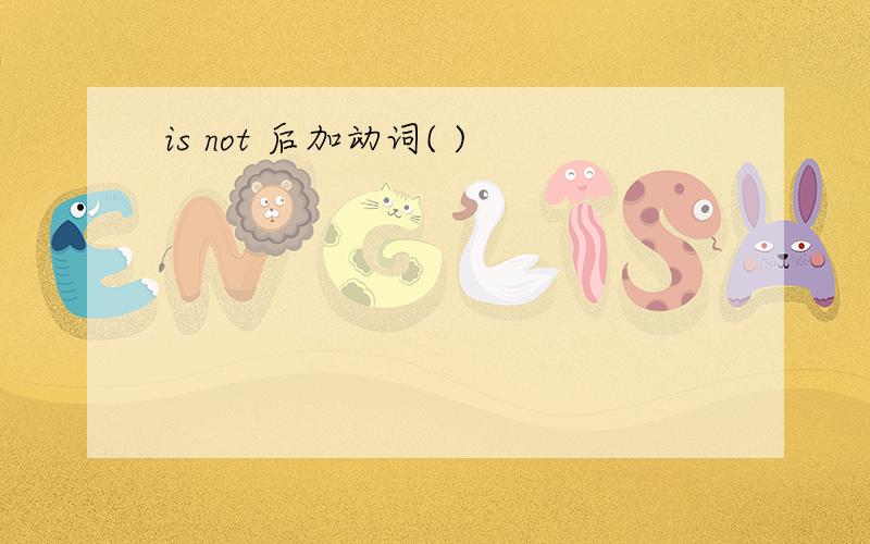 is not 后加动词( )