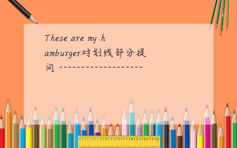 These are my hamburger对划线部分提问 -------------------